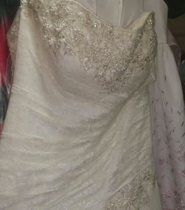 David's Bridal wedding dress lot